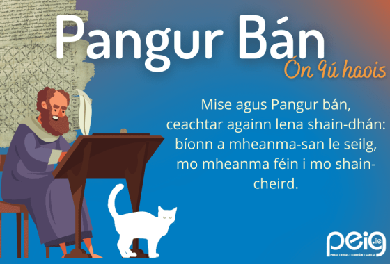 Ar thóir “Pangur Bán”