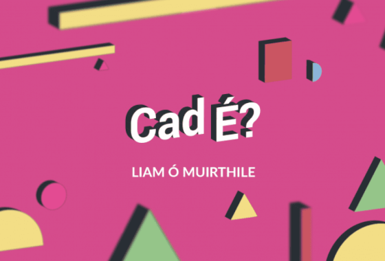 FILÍOCHT: Cad é? le Liam Ó Muirthile