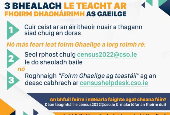 Noda maidir leis an bhfoirm daonáirimh as Gaeilge