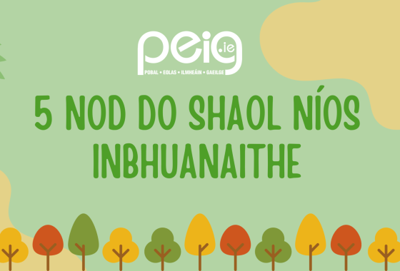 5 nod do shaol níos inbhuanaithe