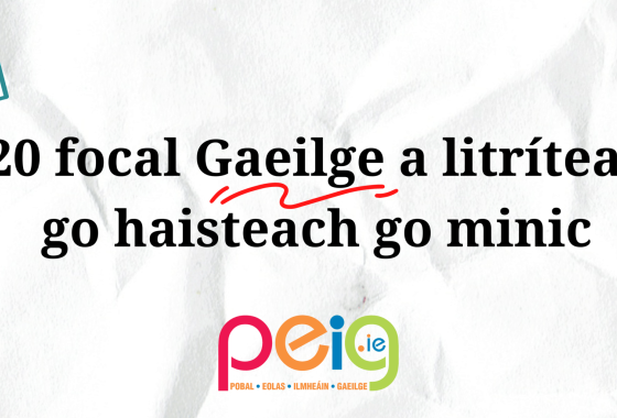 20 focal Gaeilge a litrítear go haisteach go minic