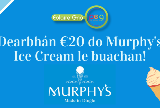 Comórtas Eolaire Gnó: Dearbhán €20 do Murphy’s Ice Cream le buachan!