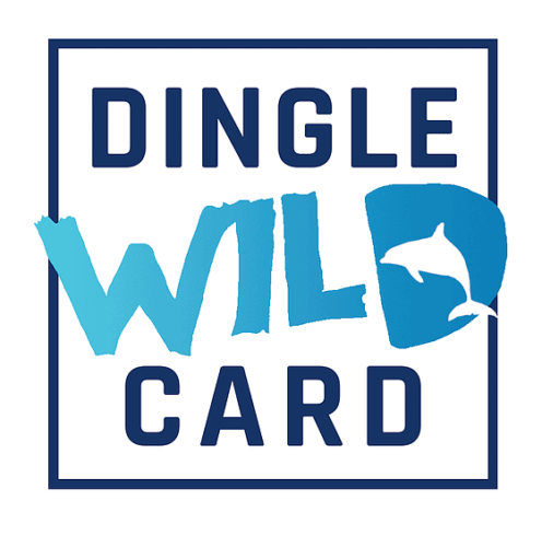 Dingle Wild Card