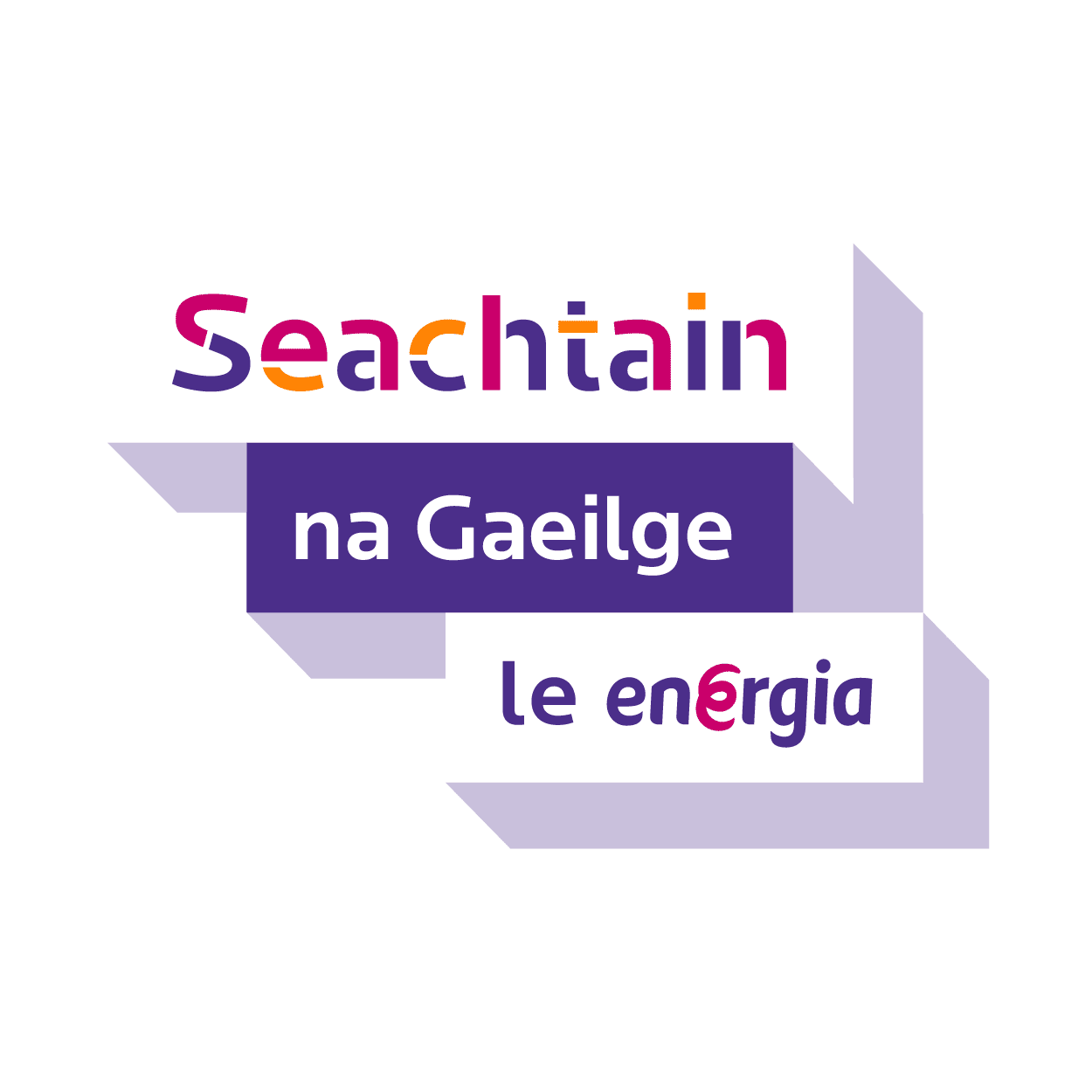 Scoil Ghaeilge Bhéal Feirste: Cá bhfuil siad anois? | ‘The Irish School’: Where are they now?