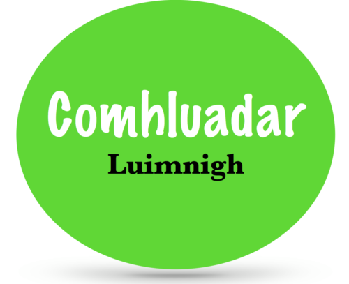 Oíche Shóisialta do Líonraí Gaeilge Luimnigh