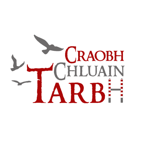 Féile Chluain Tarbh – Ceilliúradh ar an gCultúr Gaelach sa cheantar