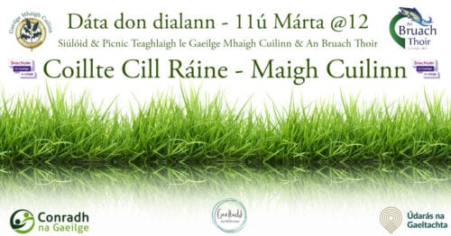 Siúlóid agus Picnic Teaghlaigh le Gaeilge Mhaigh Cuilinn agus An Bruach Thoir