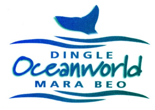 Mara Beo/Dingle Oceanworld Aquarium 🥇