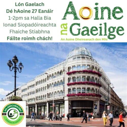 Aoine na Gaeilge – Lón Gaeilge