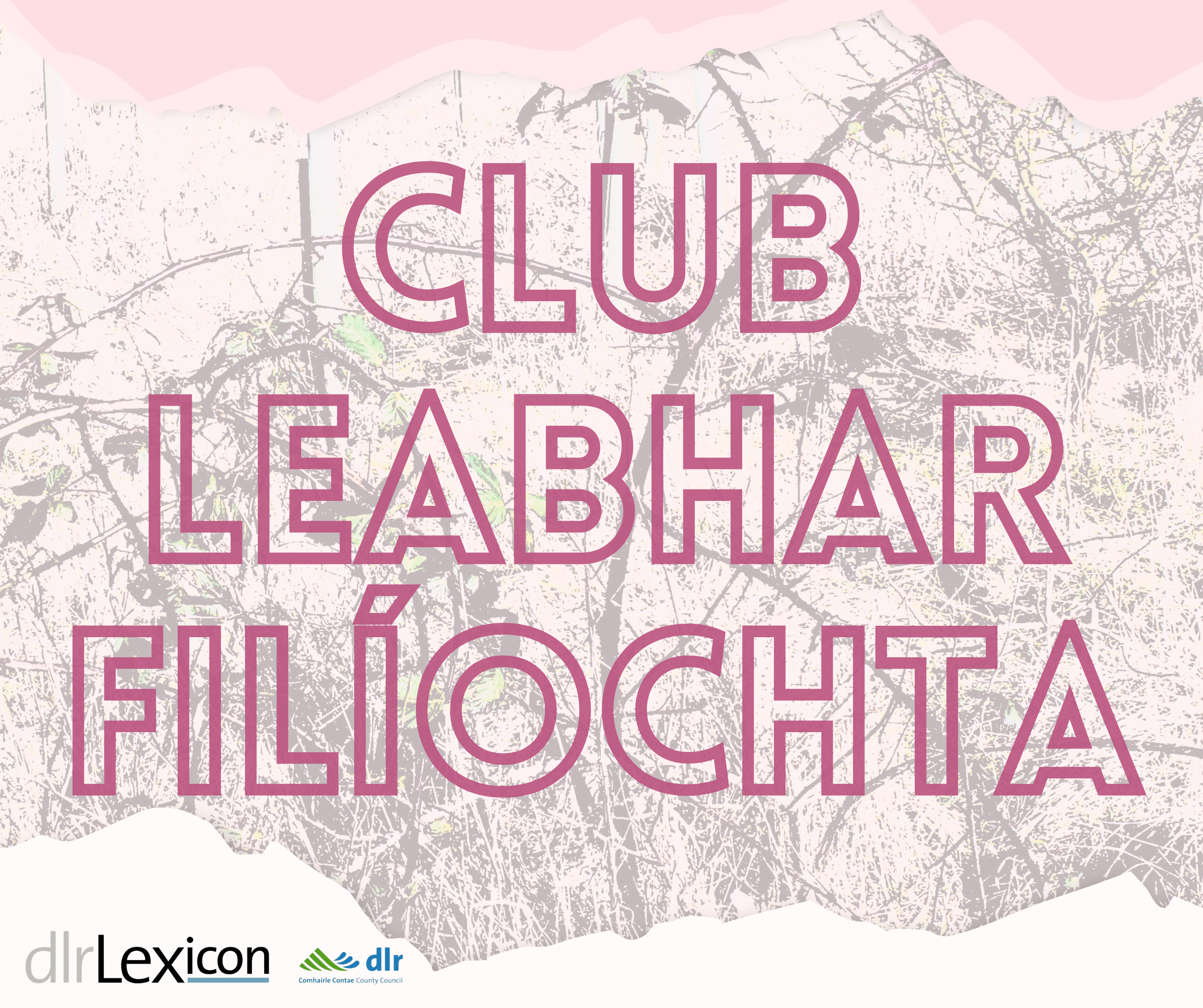 Club Leabhar Filíochta